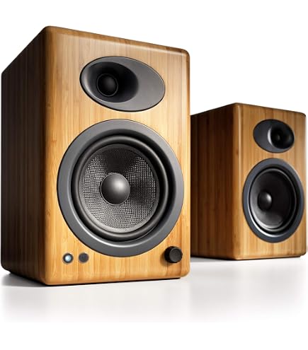 Amazon.co.jp: 【国内正規品】Audioengine オーディオエンジン A5＋